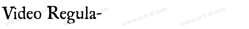 Video Regula字体转换